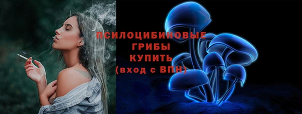 ГАЛЛЮЦИНОГЕННЫЕ ГРИБЫ Алексеевка